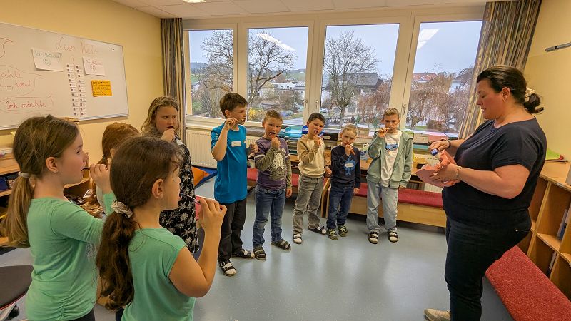 Zahngesundheitserziehung